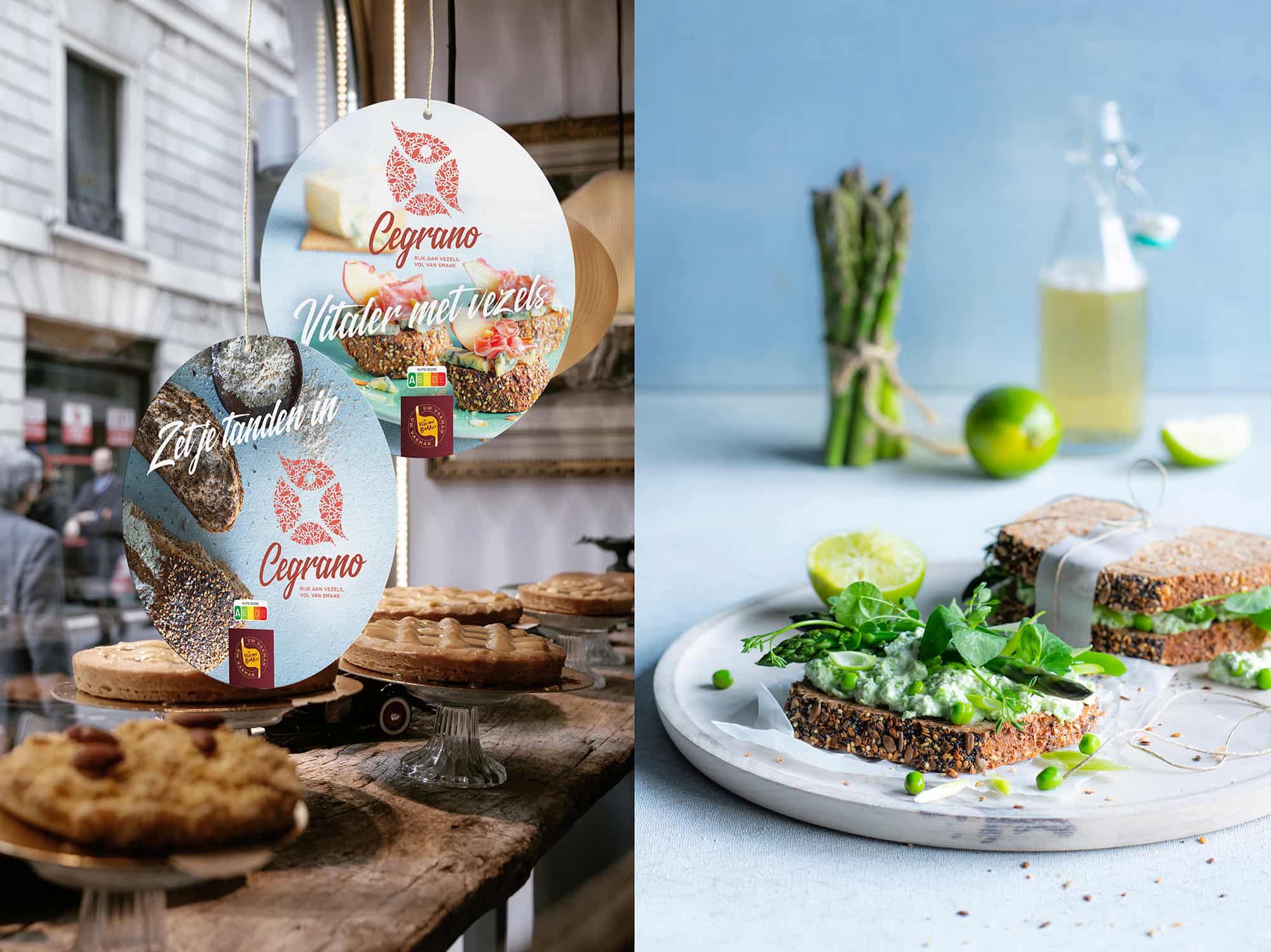 5-case-ceres (1) (1)