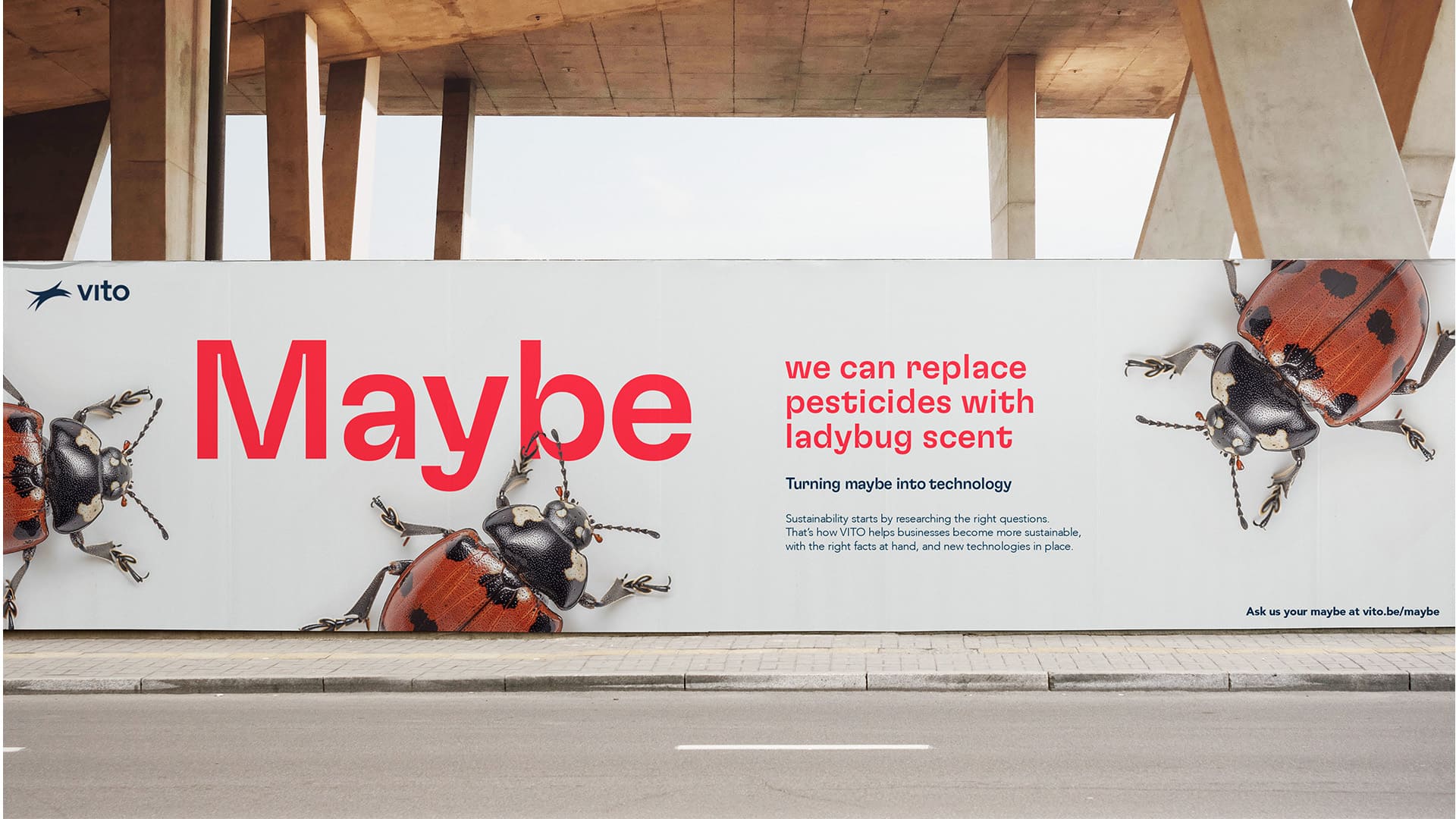 Vito - Maybe_Mockup poster adybug