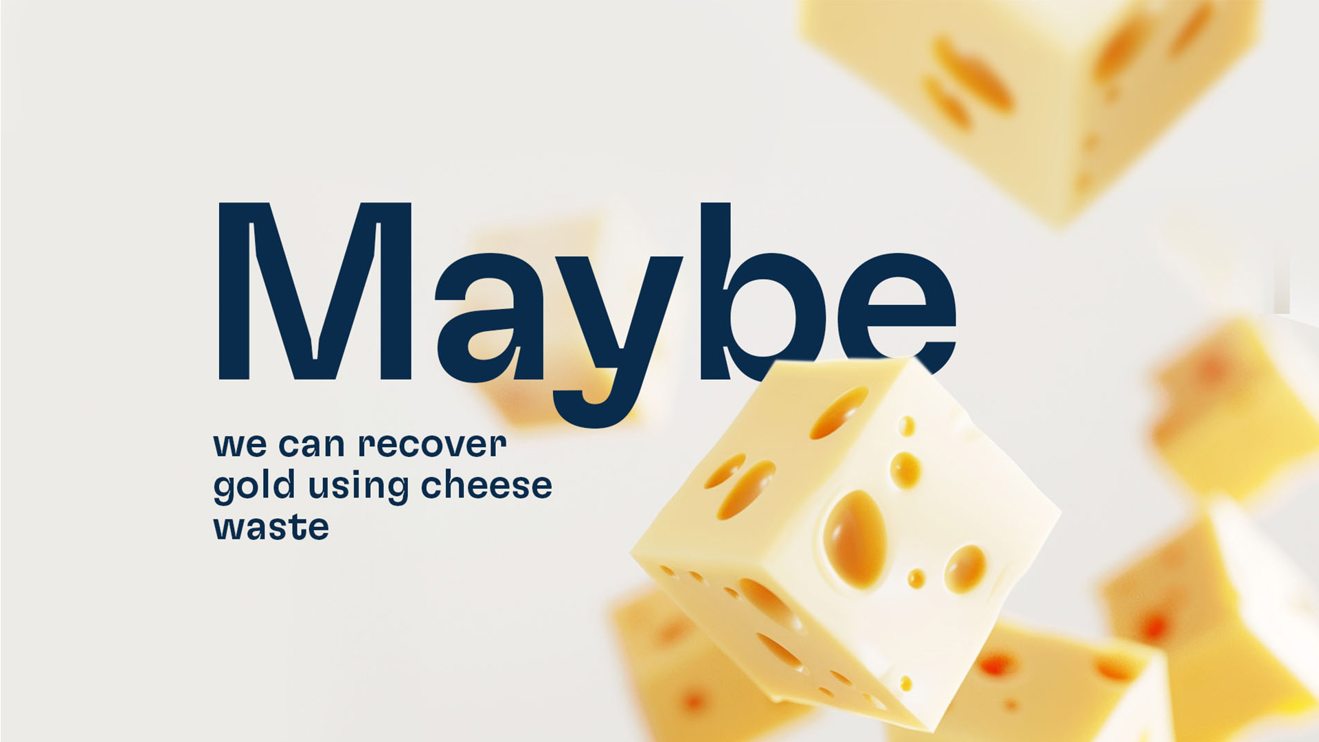 Vito - Maybe_cheese-1