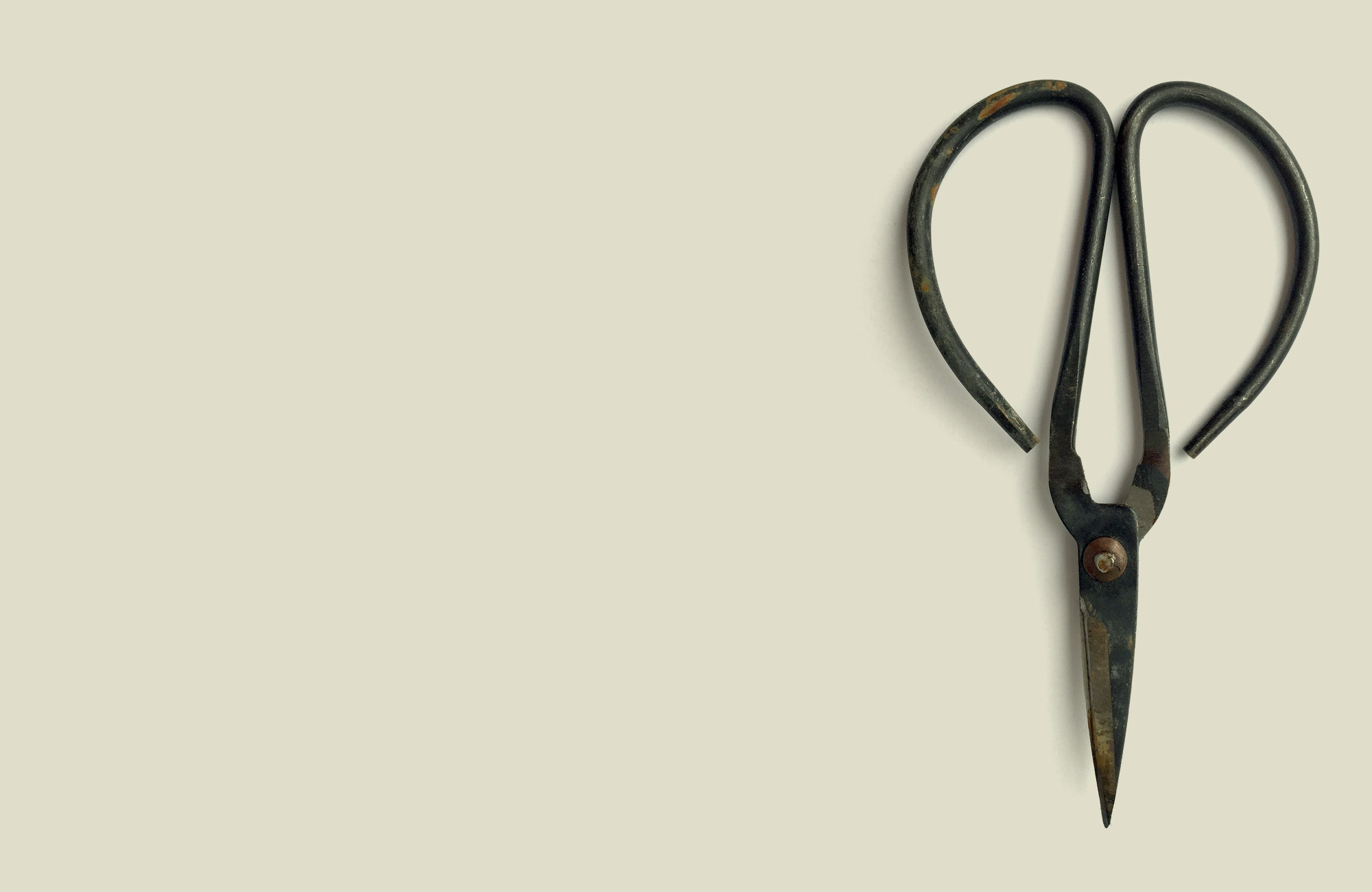 INT22-202-Club-Curiosity-2022-Header-2000x1300px_merk-wildgroei-brand-proliferation_V2